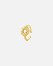 Ring Sea Urchin Small