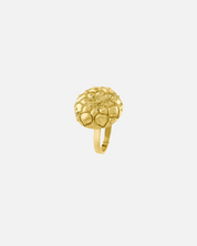 Anillo Largo Peyote