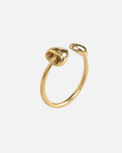 Ring Lennon