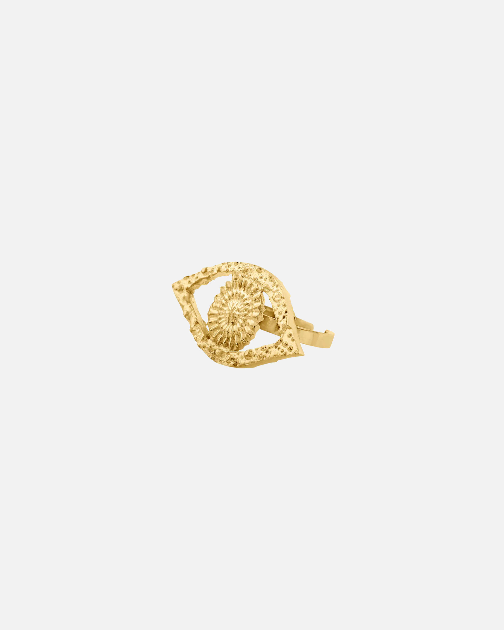 Ring Ojo