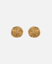 Earrings Dharma