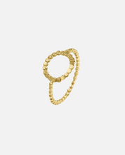 Anillo Circle