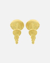 Aretes Zenith