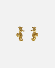 Earrings Sea Horse