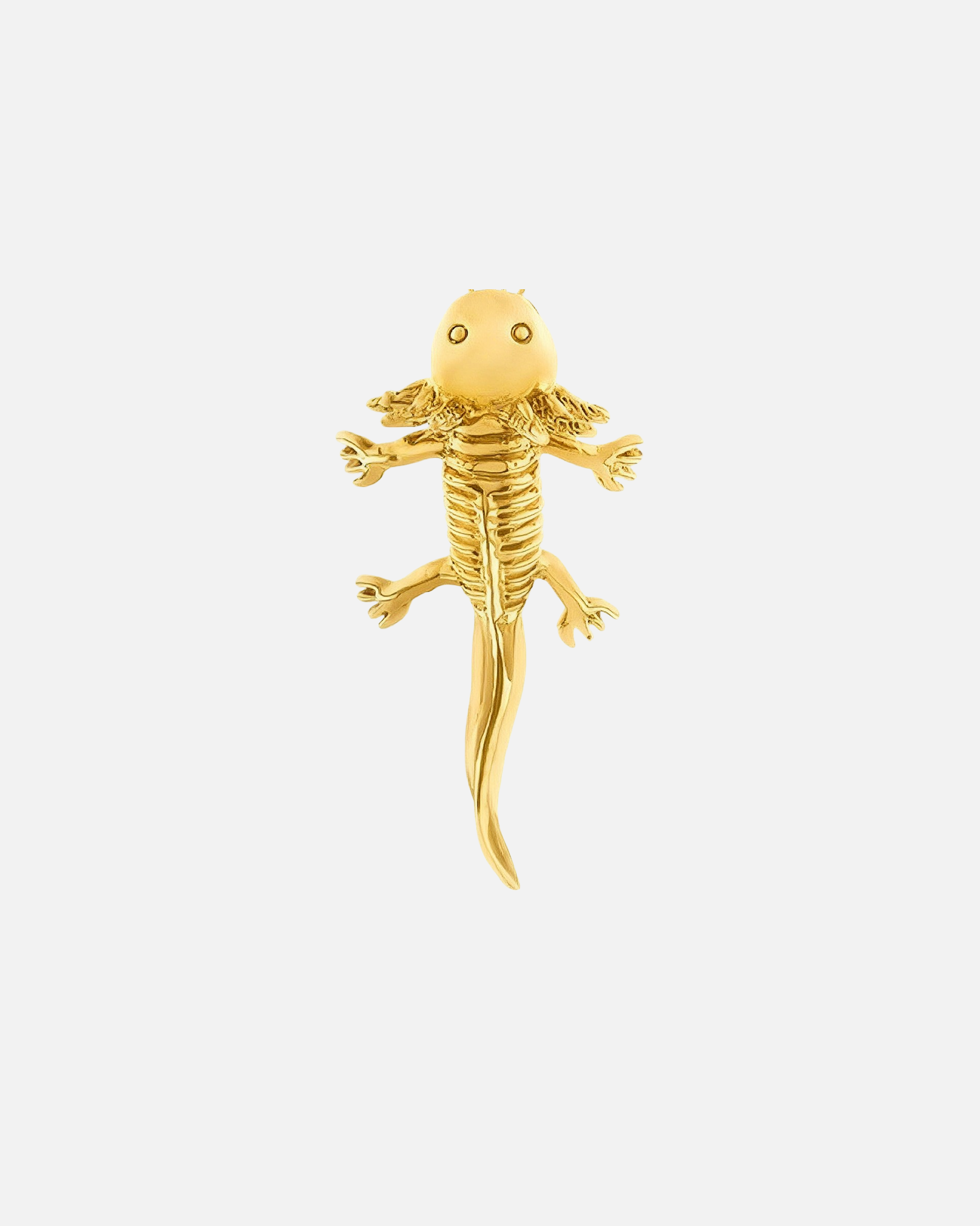 Brooch Axolotl Mathilde