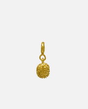 Charm Brain
