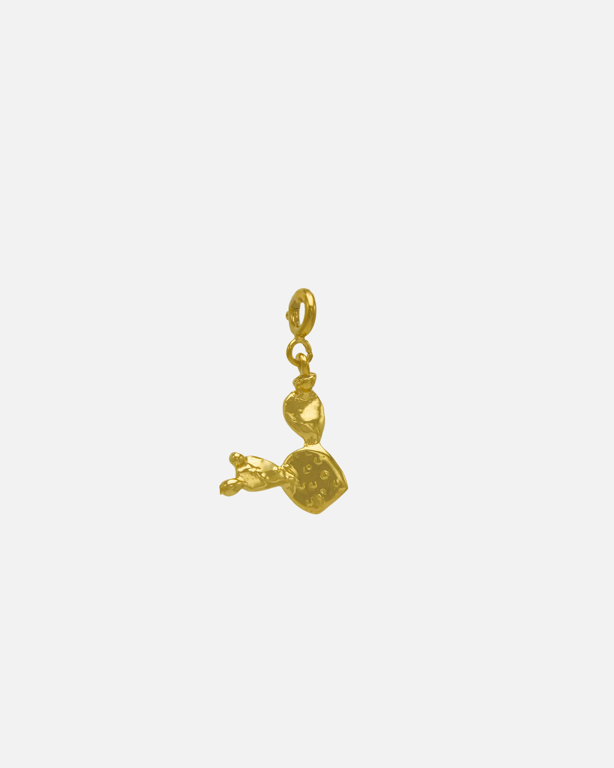 Charm Cactus