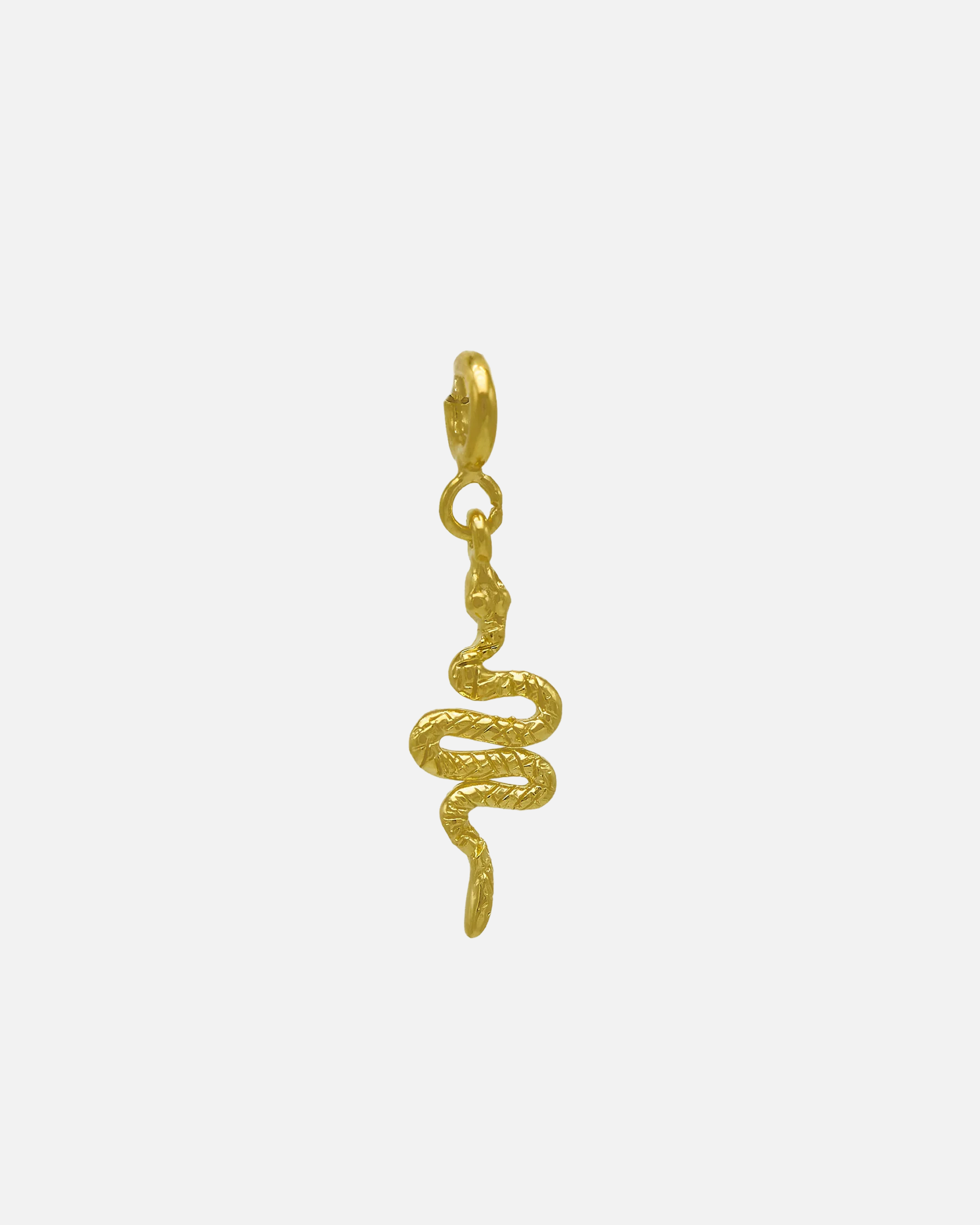 CharmSerpentine.png