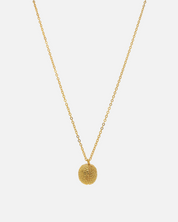 Necklace Brain