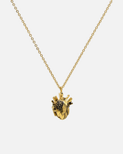Collier Locket Heart and Brain petit