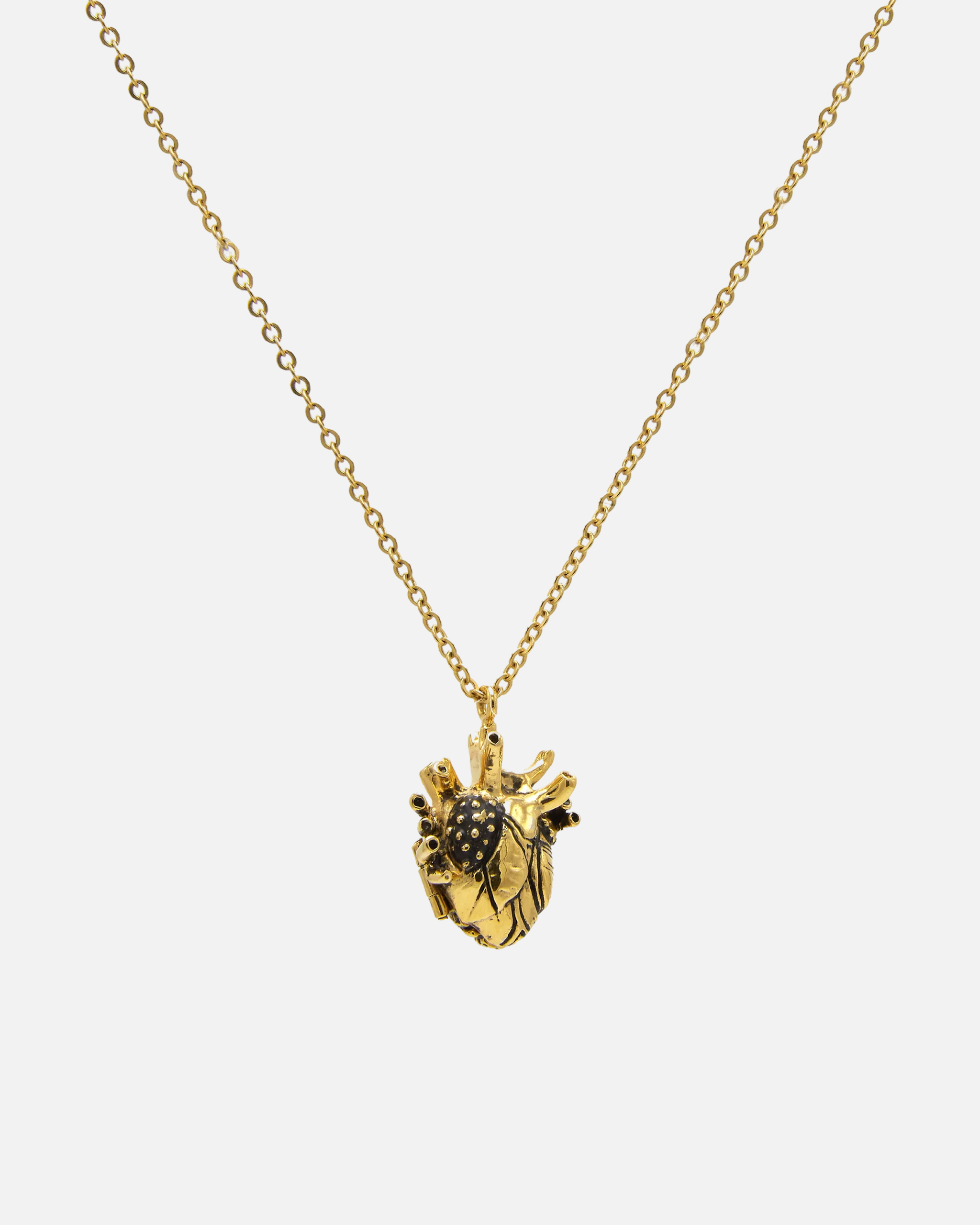 Collier Locket Heart and Brain petit