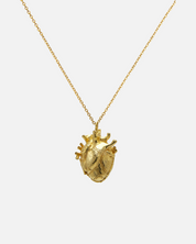 Necklace Locket Heart And Brain Large