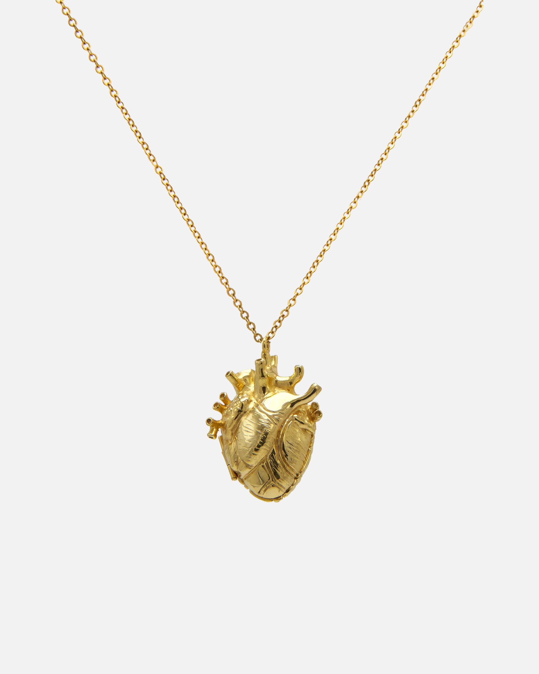 Necklace Locket Heart And Brain Large