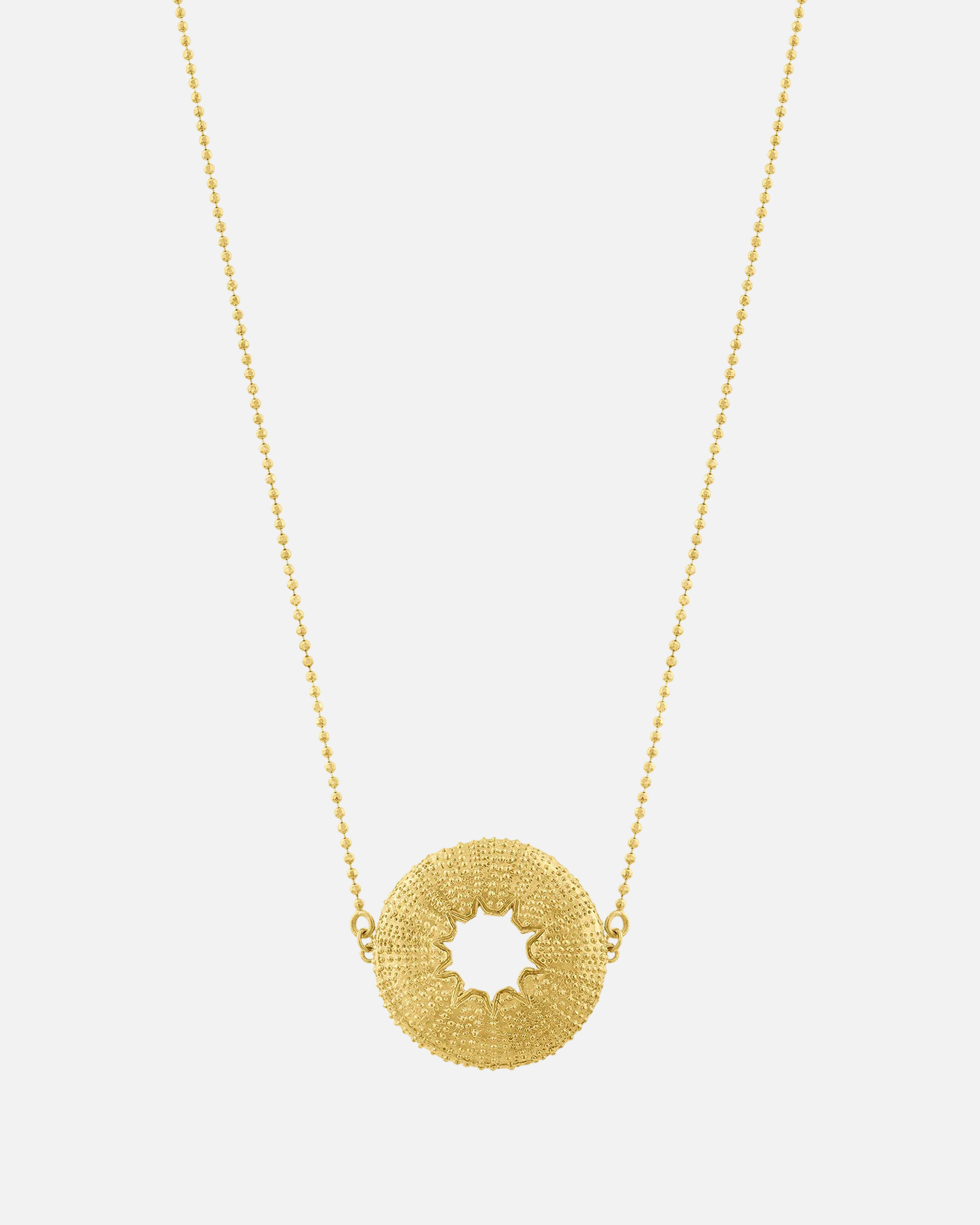 Collar_Sea_Urchin_Chico.png