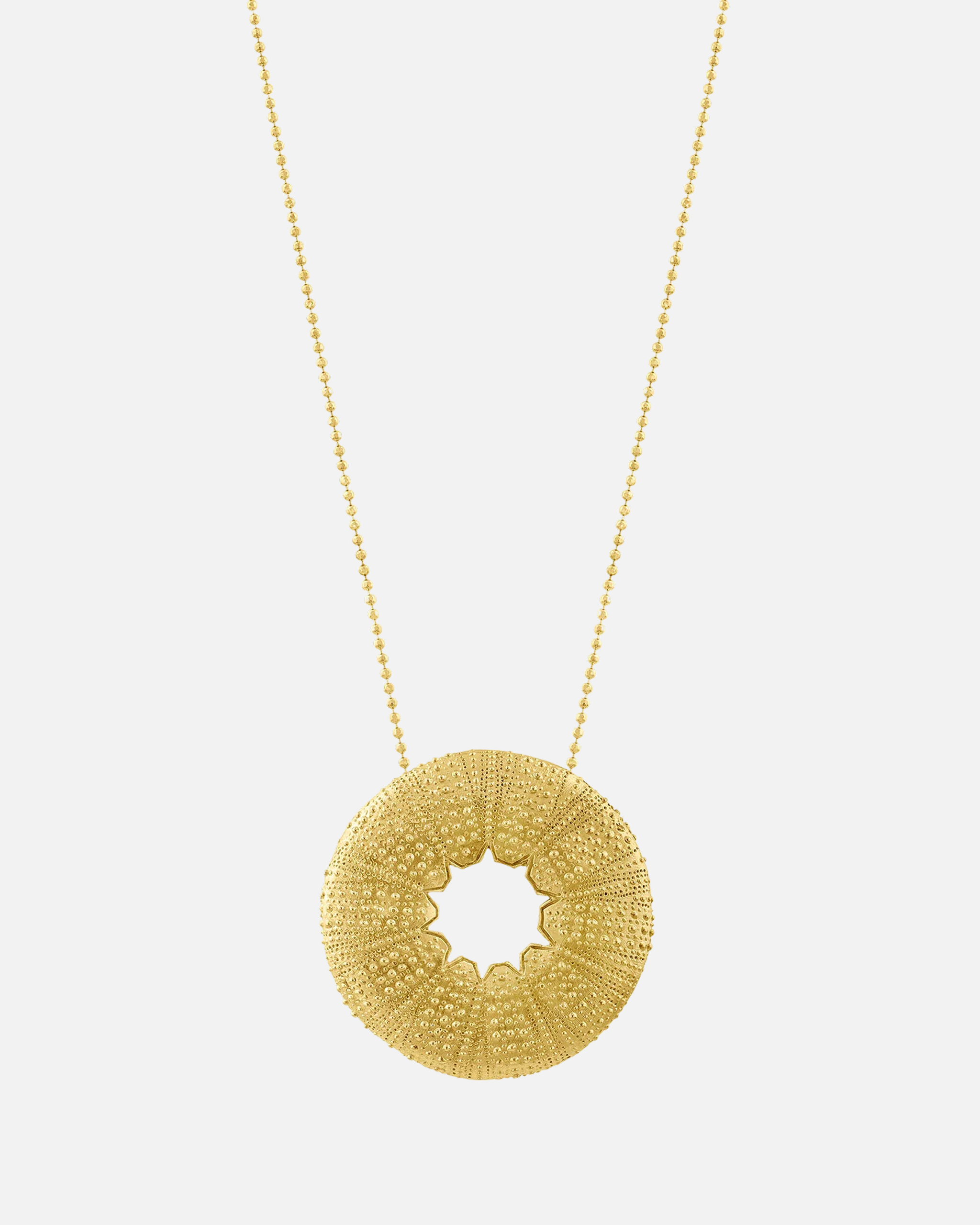 Collar_Sea_Urchin_Largo.png