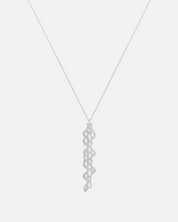 Necklace Cholla
