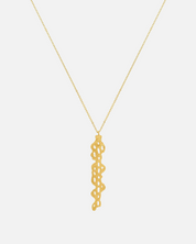 Necklace Cholla