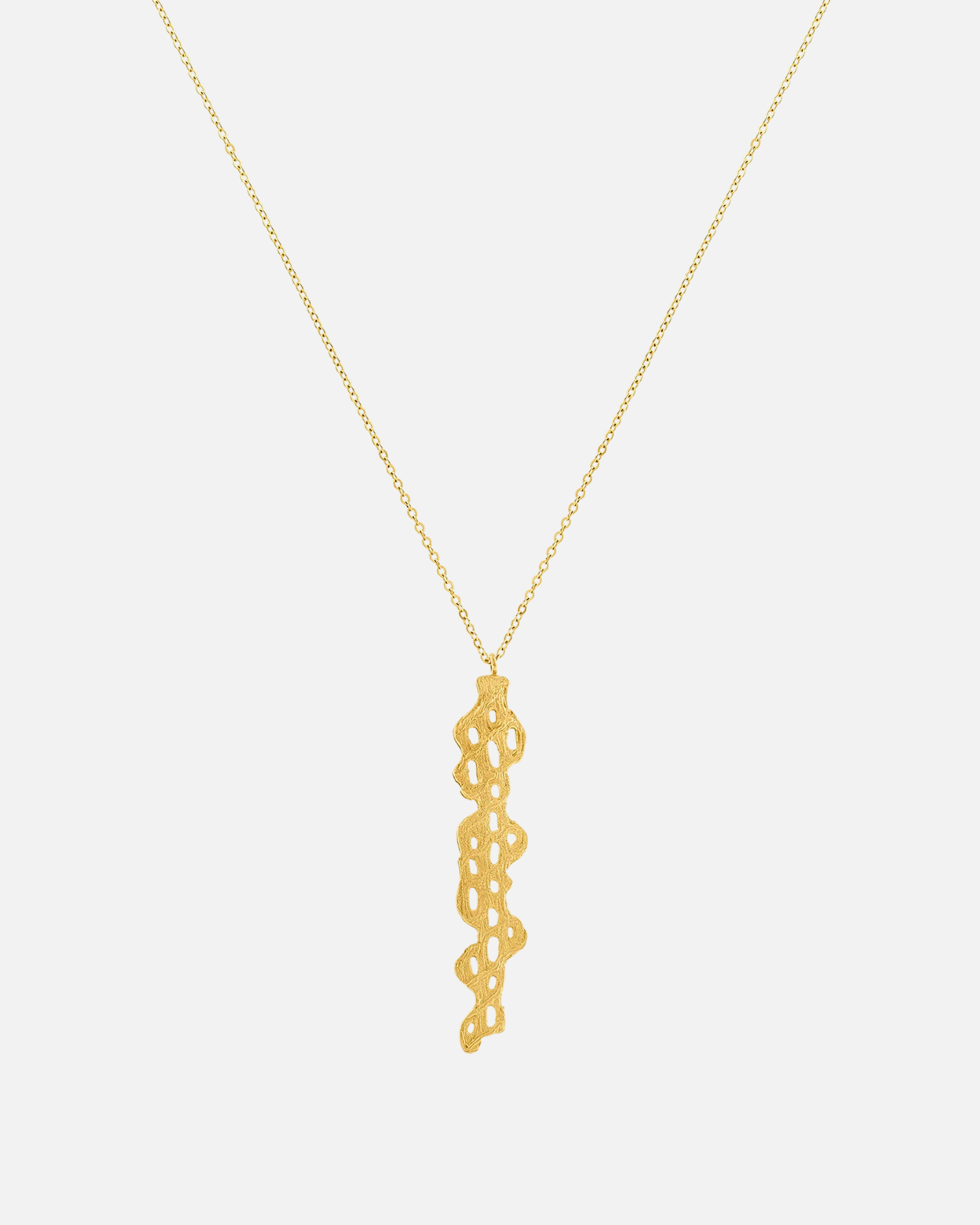 Collar Cholla