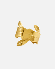 Cuff Pitaya