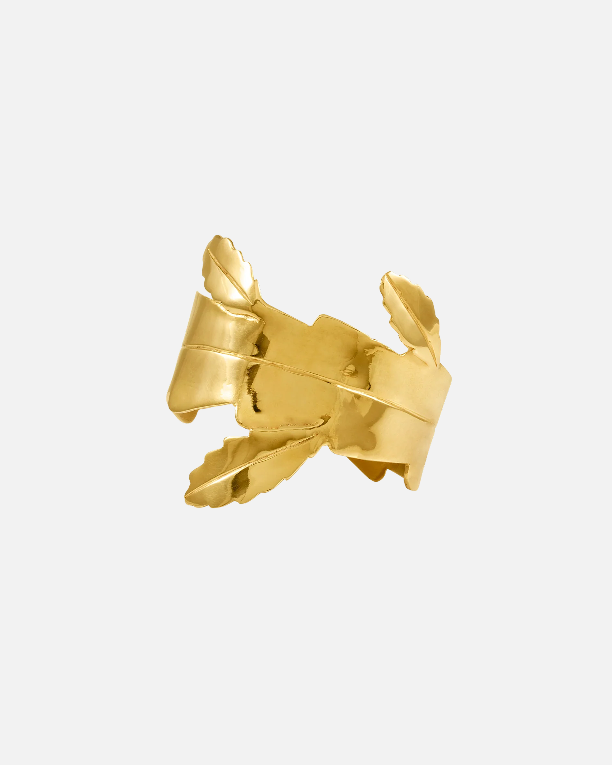 Cuff Pitaya