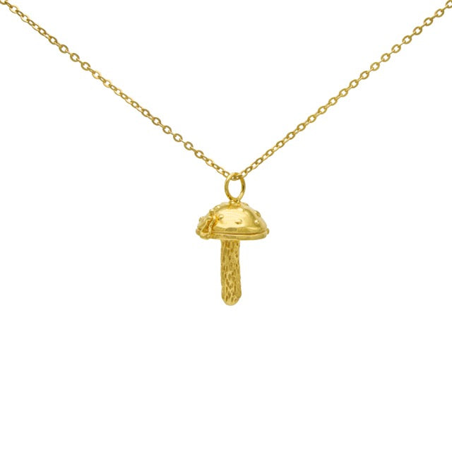 DOTSSHROOMLOCKET.jpg