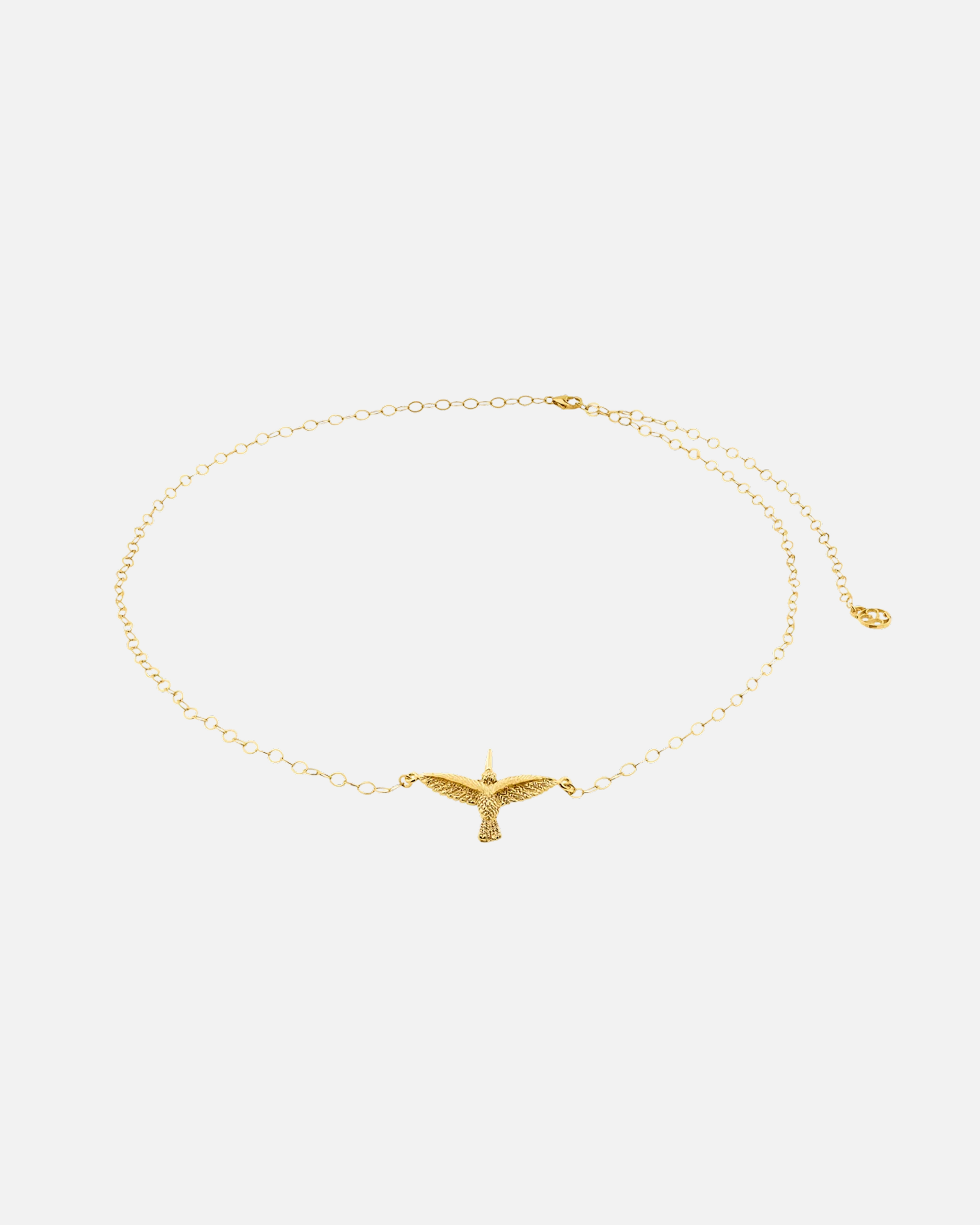 Diadema_Hummingbird.png