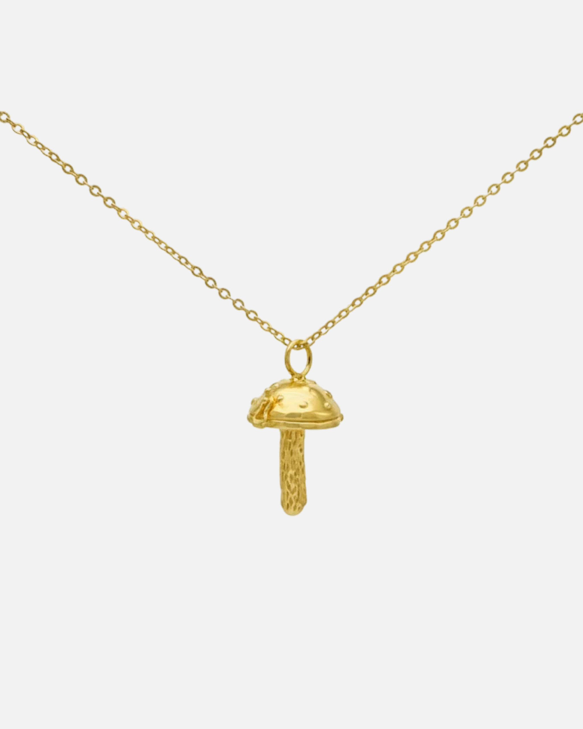 DotsShroomLocketNecklace.png