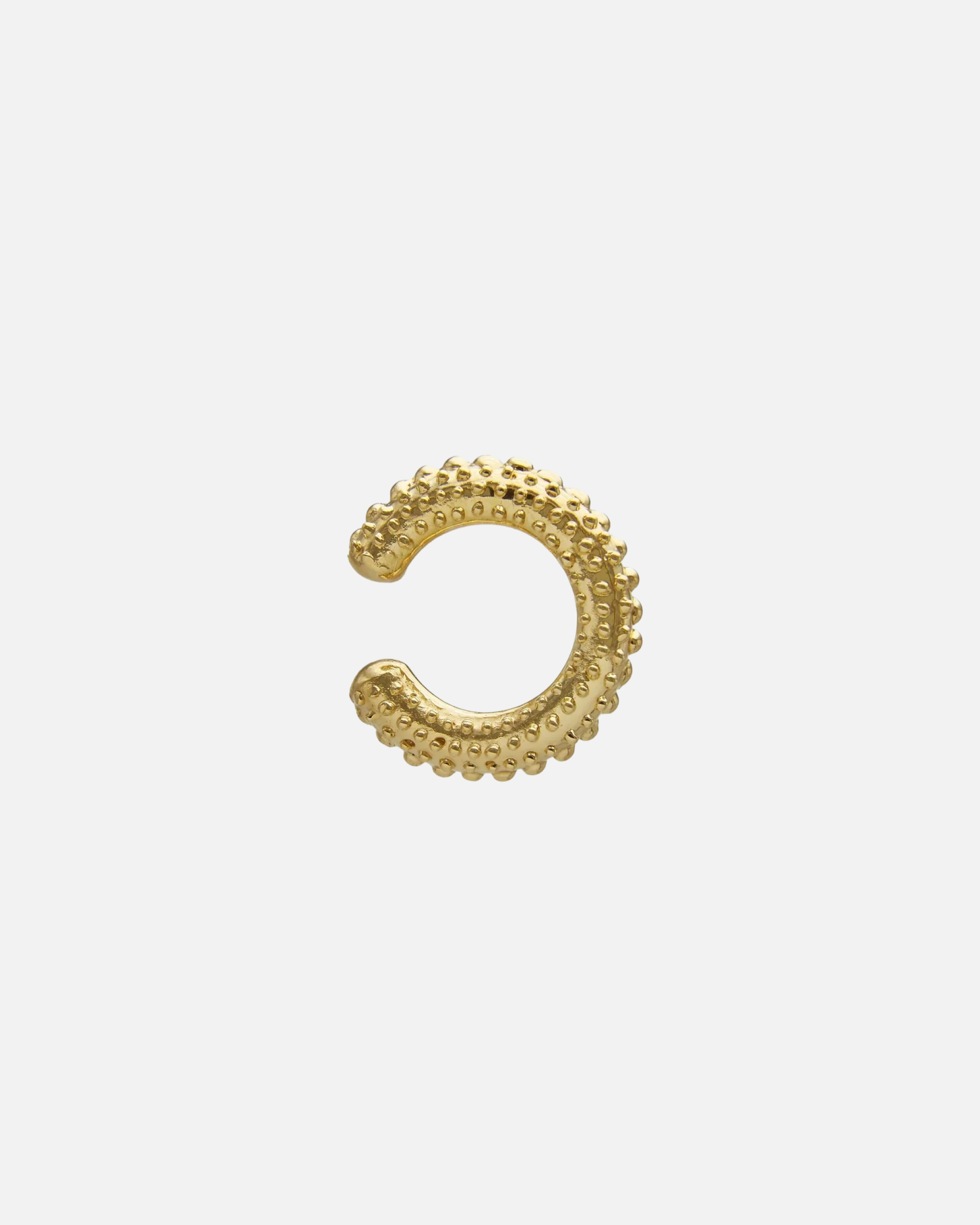 Earcuff Sea Urchin