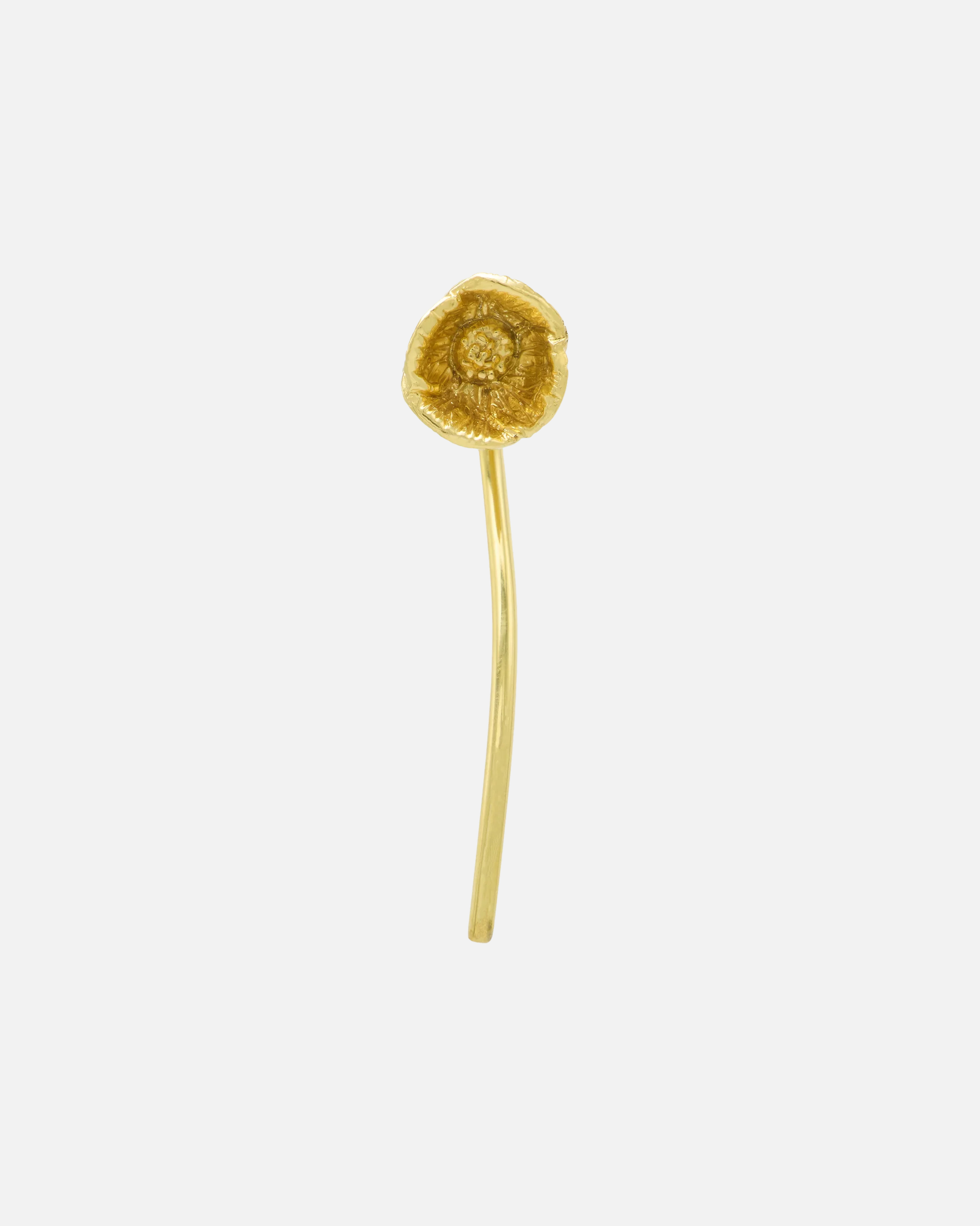 Brooch Coclico