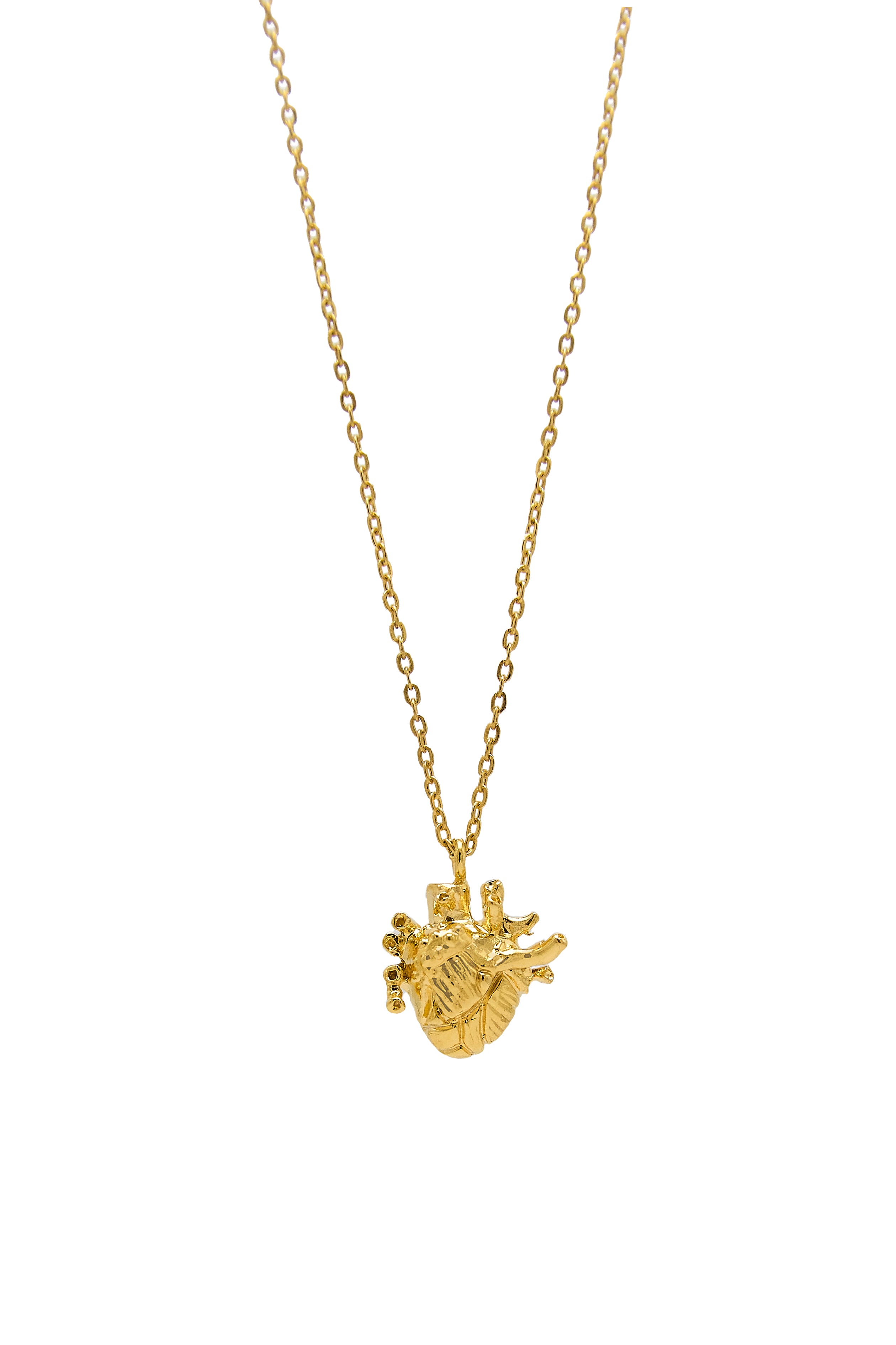 Necklace Mini Heart With Brain Back