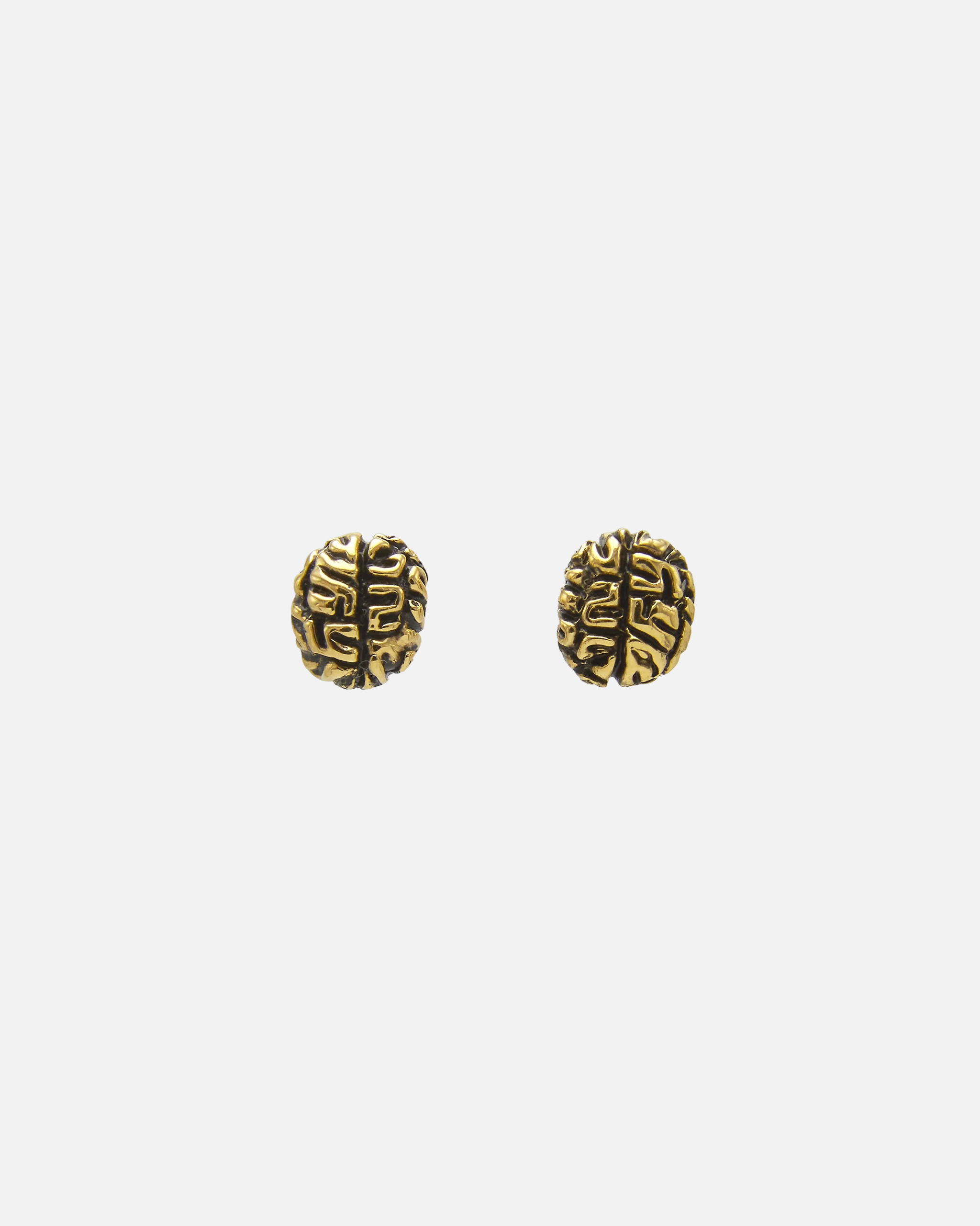 MiniAretesBrain.png