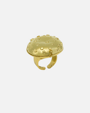 Mushroom Ring Locket Large