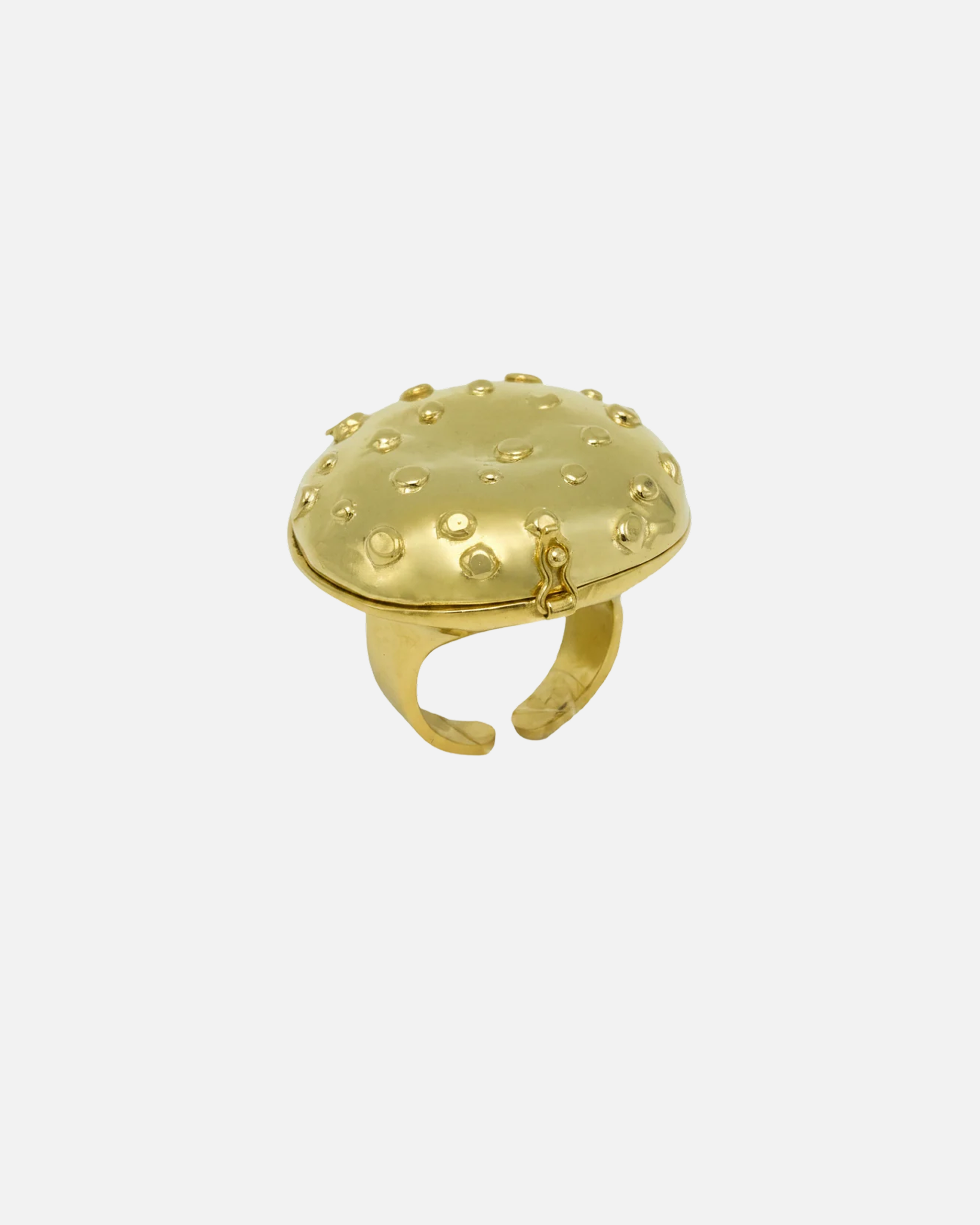MushroomRingLocketLarge.png