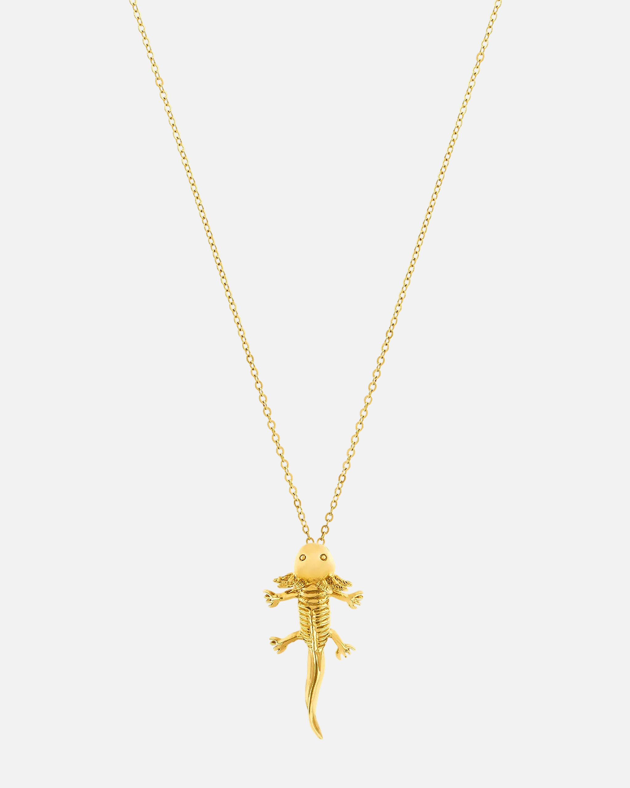 Necklace Axolotl
