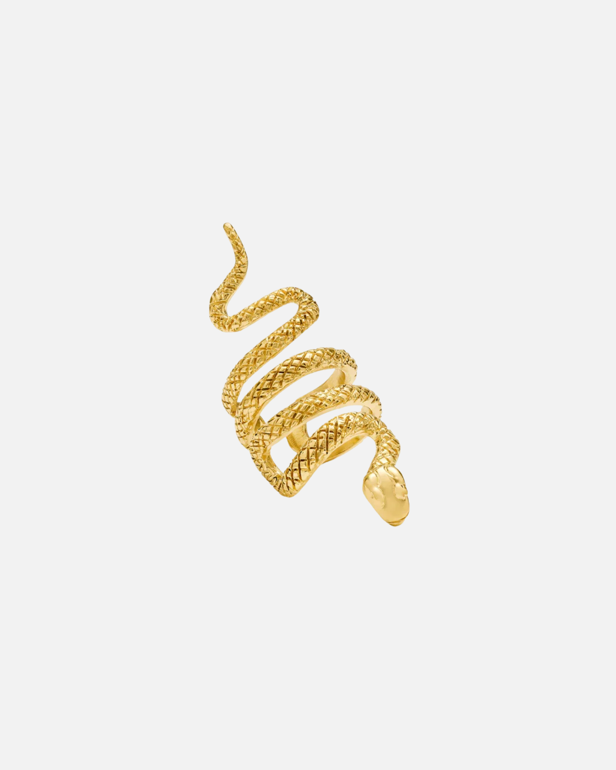 PRE-ORDER: Ring Serpentine