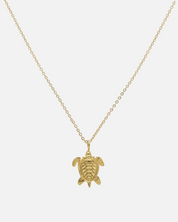 PRE ORDER: Turtle Locket Necklace