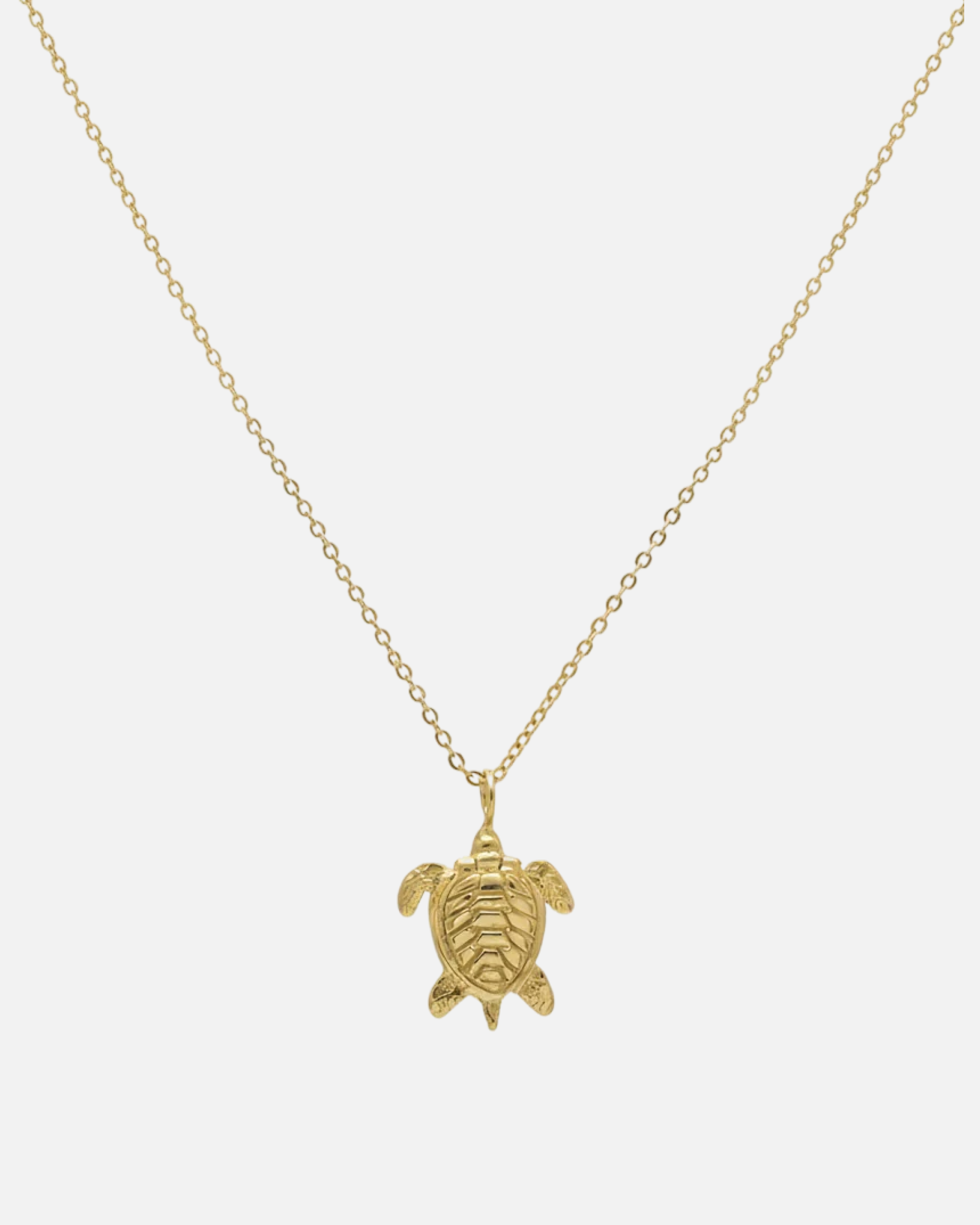 PRE ORDER: Turtle Locket Necklace