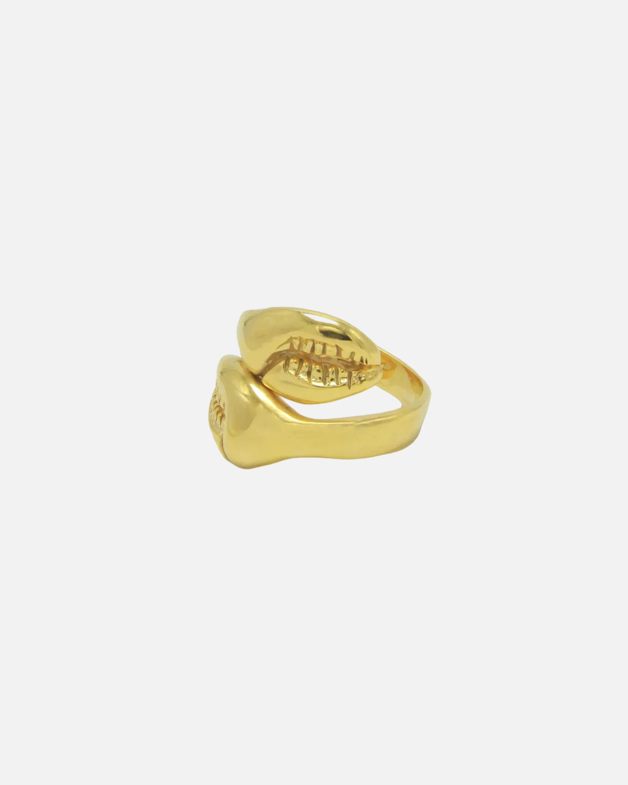 Ring Crab