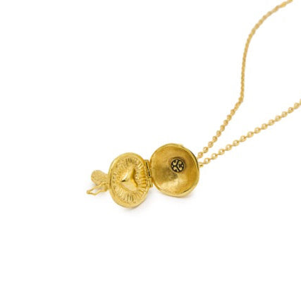 SHROOM_DOTS_LOCKET_OPEN.jpg