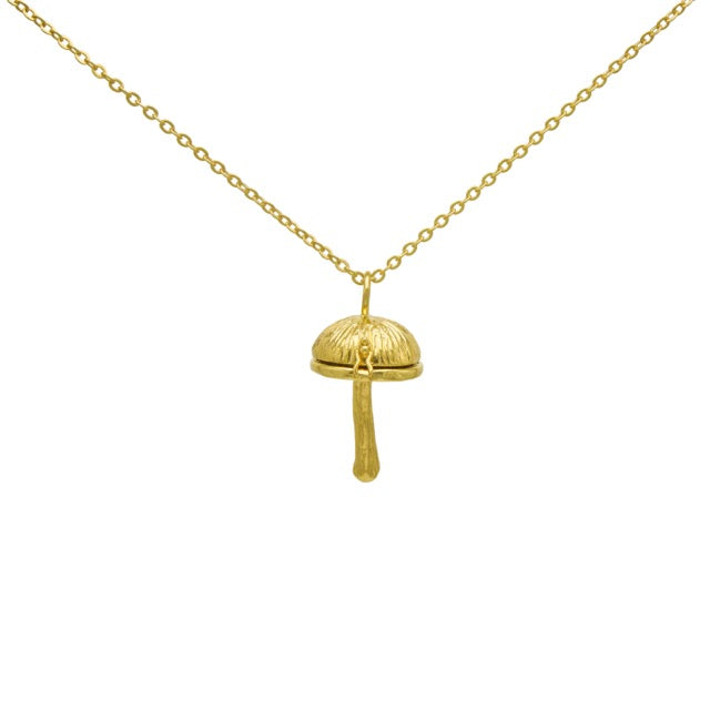 Stripped Shroom Locket Necklace