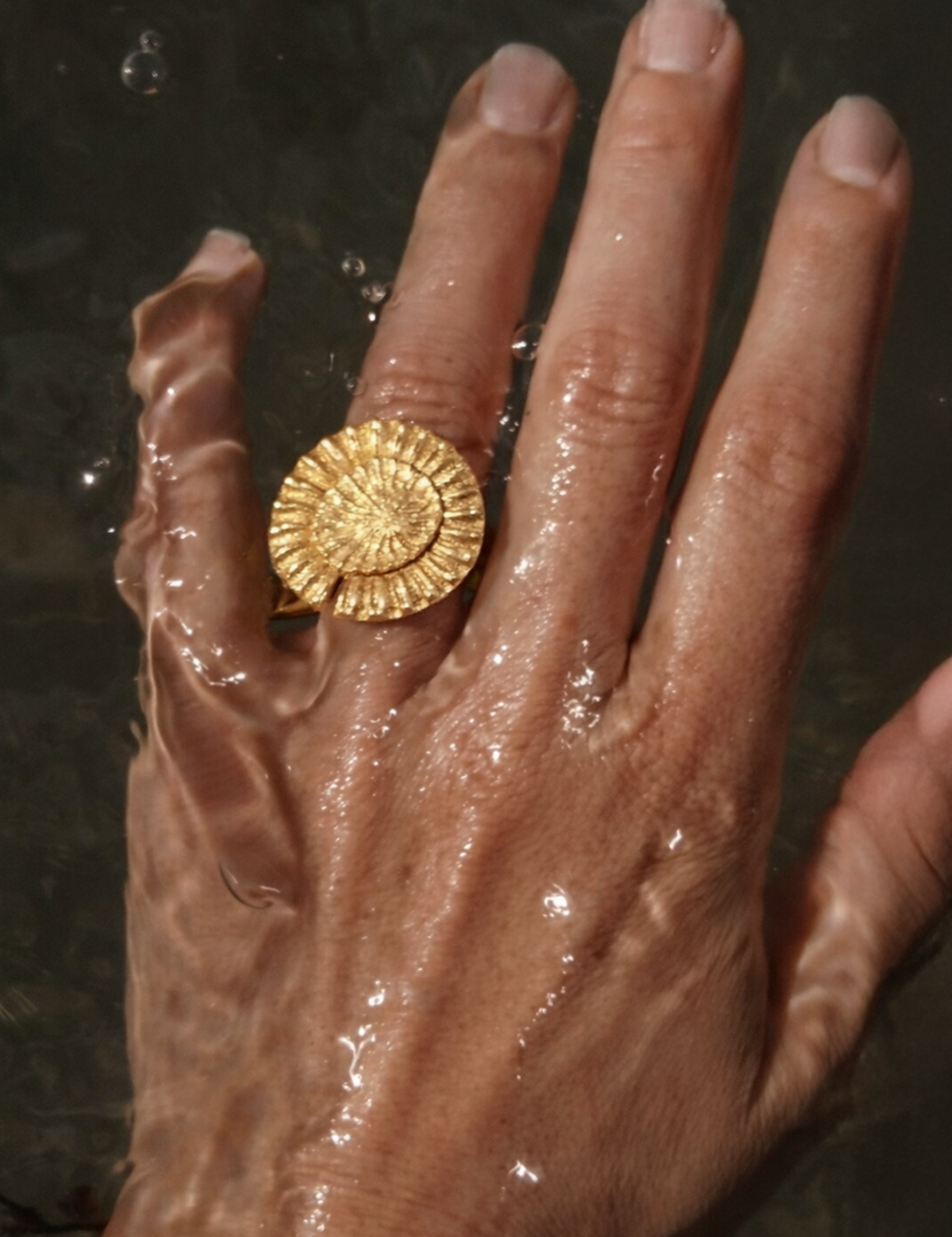 Anillo Pez Amaré Largo