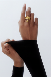 Ring Hummingbird - Sophie Simone Designs
