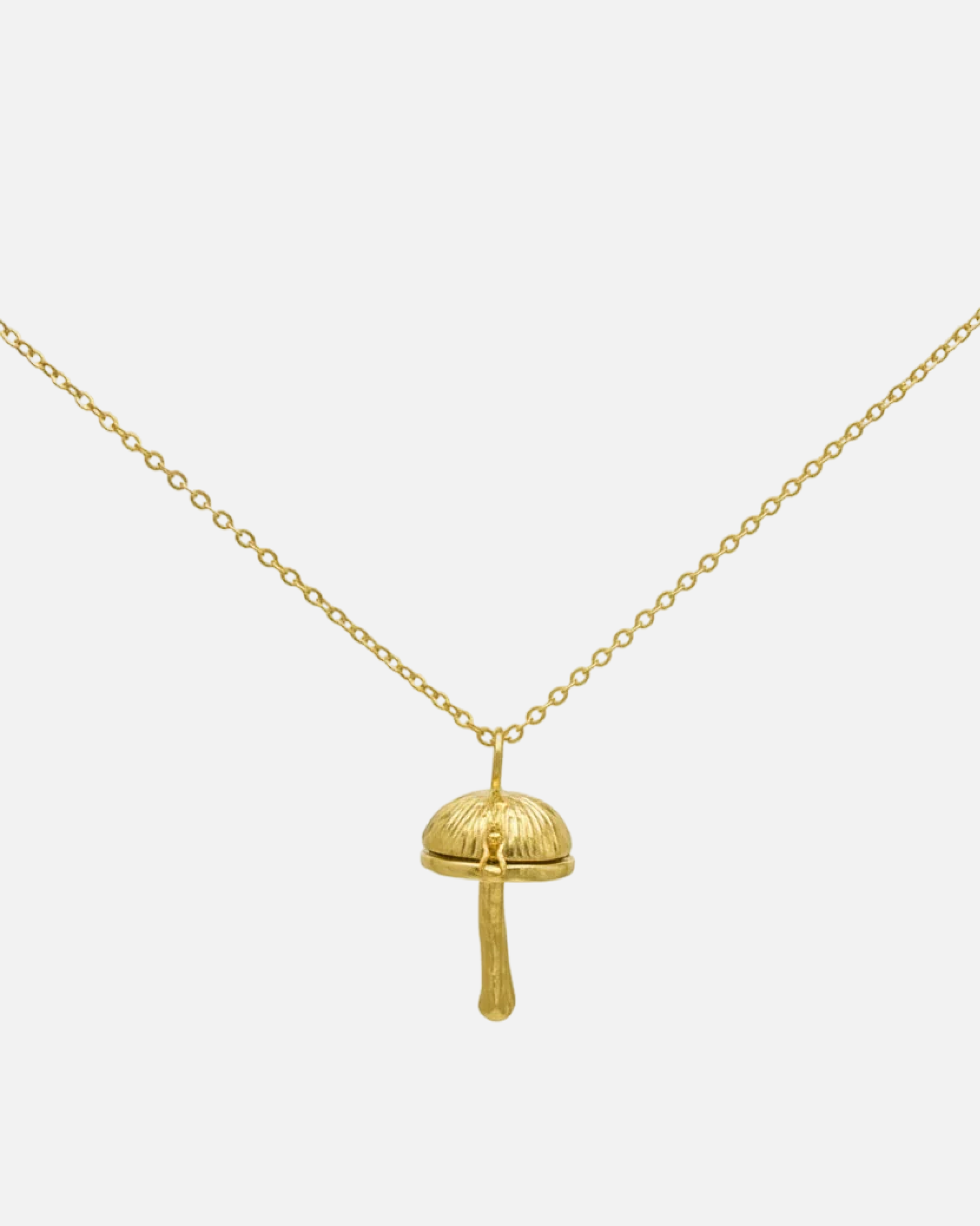 Stripped Shroom Locket Necklace