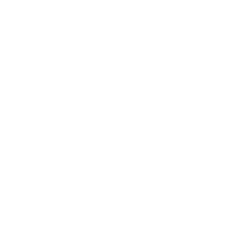 sophie simone designs logo