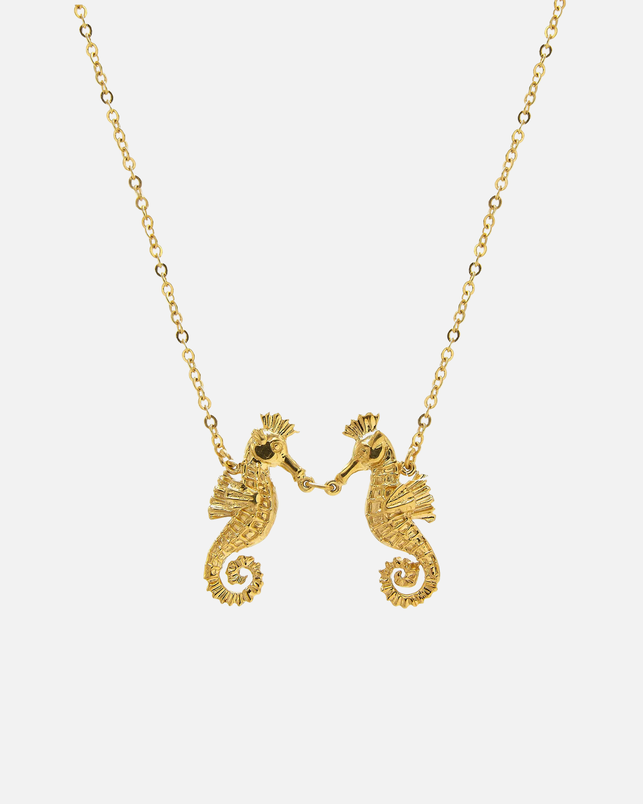 sea_horse.png