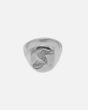 Ring Aquarius Zodiac