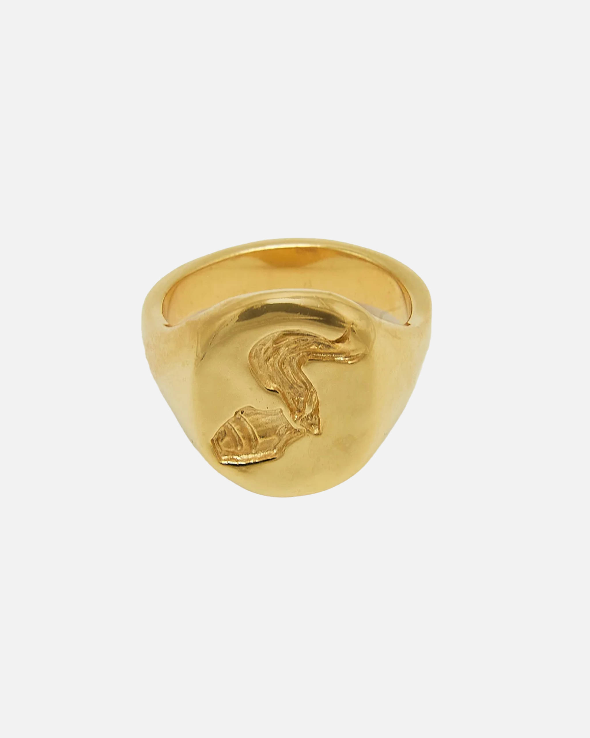 Ring Aquarius Zodiac