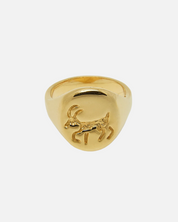 Ring Capricorn Zodiac