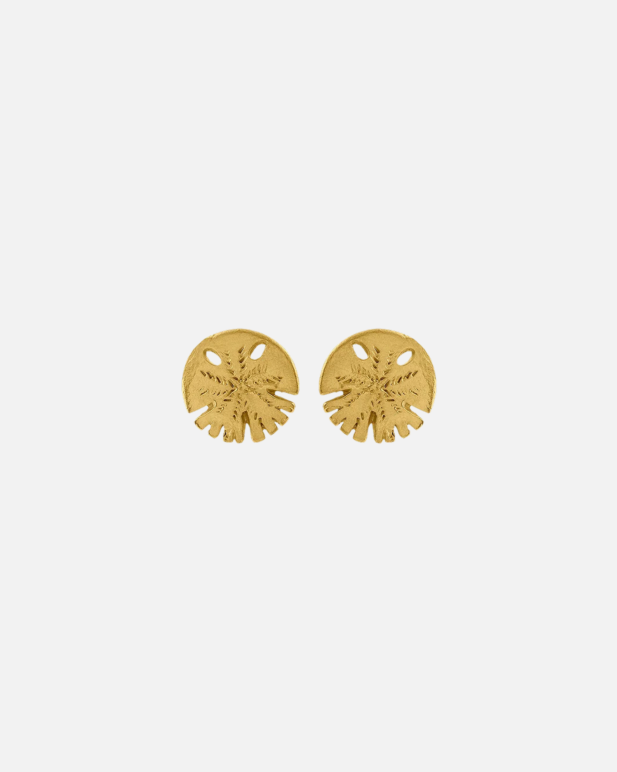 zodiacc_33249912-d1c3-45ca-9aa9-9eba30b2e683.png