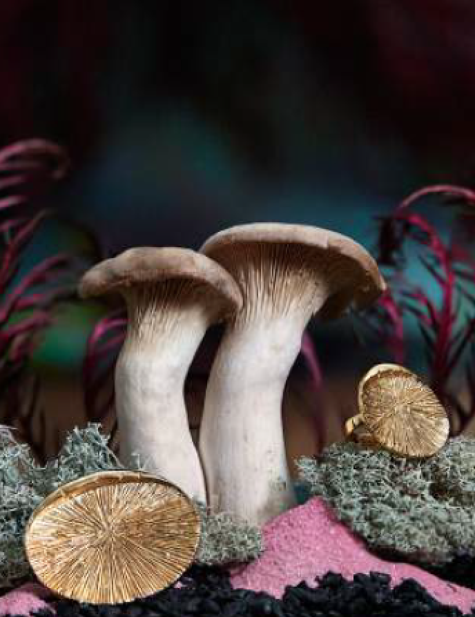 Ring Psychoactive - Sophie Simone Designs